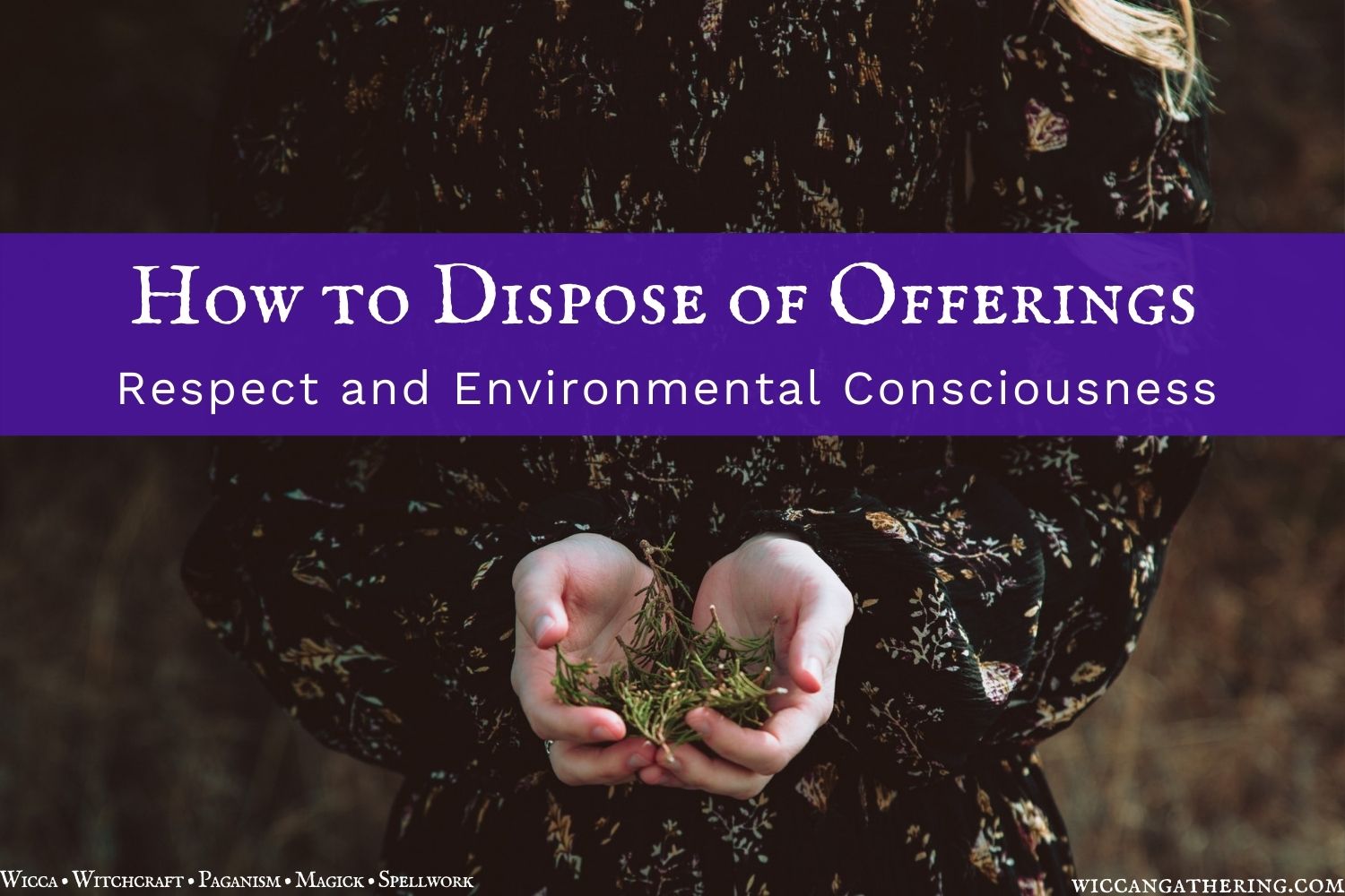 Wicca How to Dispose of Offerings