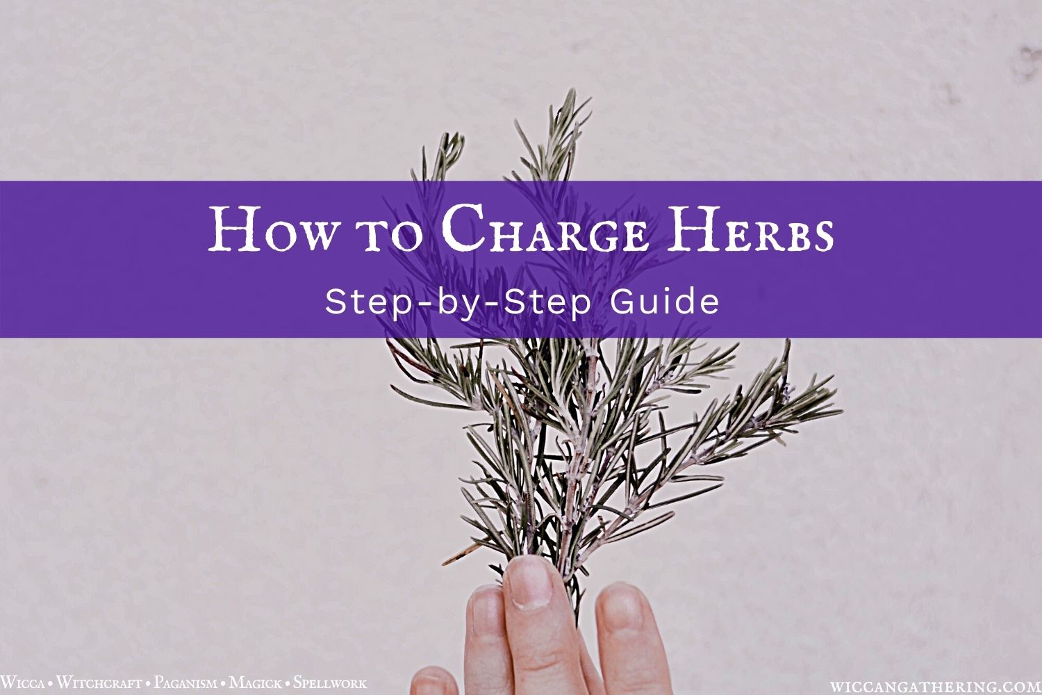 How to Charge Herbs Herbal Magic