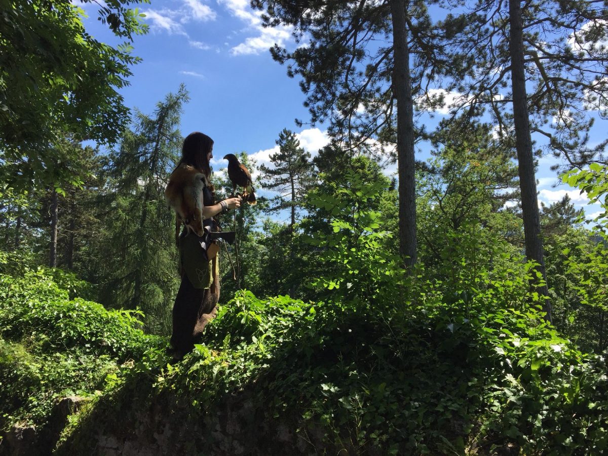 witch nature walk woman with falcon