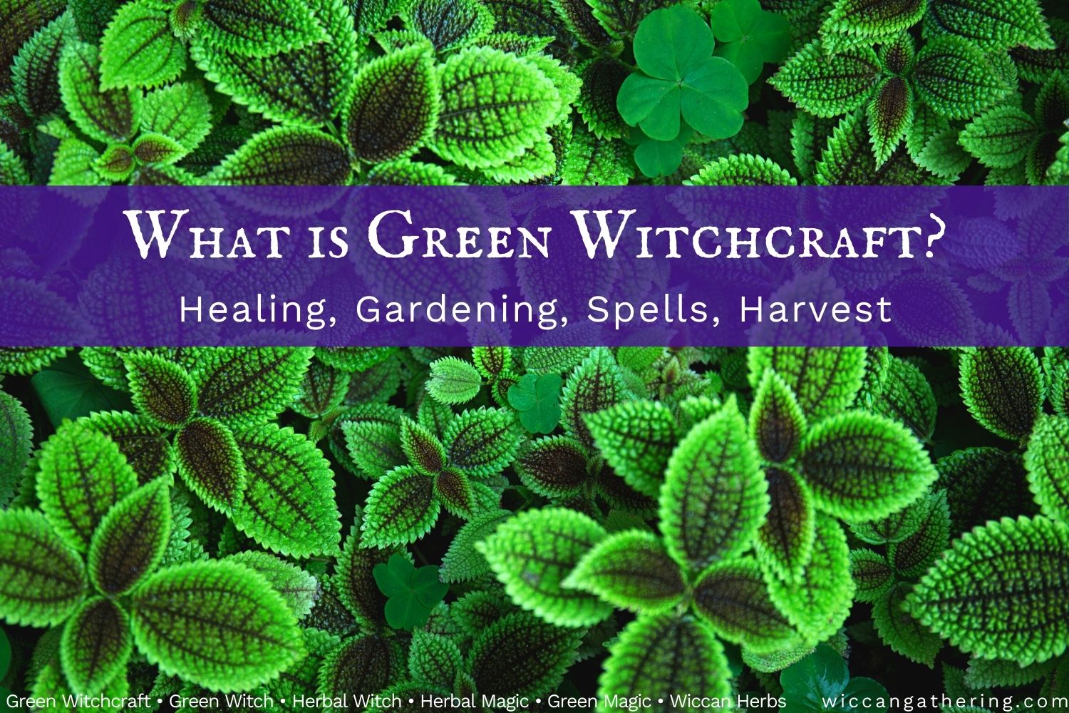 What Is Green Witchcraft
