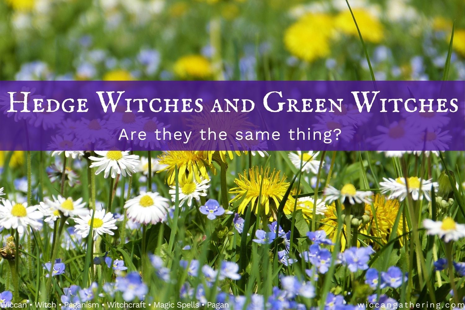 hedge witch vs green witch